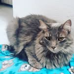 Bertha Morocho - @bertha.morocho - Instagram