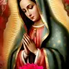 Bertha Morquecho - @berthamorquecho60 - TikTok