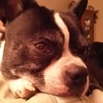 Bertha Pierce - Facebook