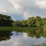 Bertha Pierce Lambert - @berthapiercelambert - Instagram