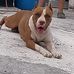 Ana Bertha Pinales - Facebook