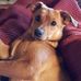 Berta Powers - Facebook