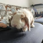 Bertha Ray - @zobermyfer - Instagram