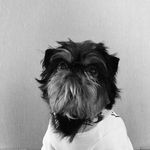 The Real Baby Bertha 🐾 - @therealbabybertha - Instagram