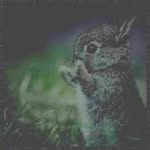 Bertha Redner - @pablobureshwov - Instagram