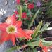 Bertha Rendon - Facebook