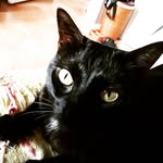 Bertha Rincón - @bertharincon5 - Instagram