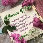 Bertha Rincon - @luzbertharincon - Instagram