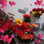 Bertha Rincon - @bertha.rincon.50 - Instagram