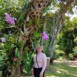 Bertha Rincon - @bertha.edilia - Instagram