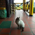 Bertha Rincon - @bex_rincon1472 - Instagram