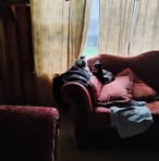 Bertha Ring - Facebook