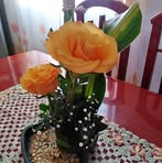 Bertha Rivero - Facebook