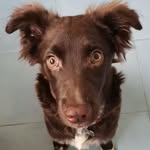 Bertha Rocha - @bertha_rocha_ - Instagram