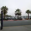 Bertha Rocha - @bertha.rocha03 - TikTok