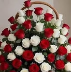 Bertha Rosa - Facebook