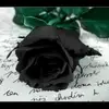 Bertha Rubio - @bertharubio2 - TikTok