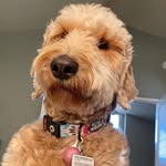 Stella aka big bertha - @stellabertharyan - Instagram