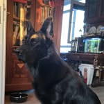 Bertha - @bertha_silvermoon - Instagram