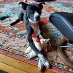 Bertha Silverman - @berthasilverman - Instagram