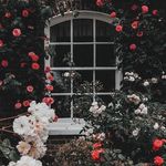Bertha Smith - @_bertha.smith - Instagram