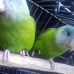 Bertha Solano - Facebook