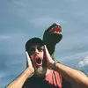 bertspringer - @bertspringer - TikTok