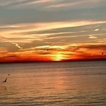 Bertha Steele - @bertha.steele.9022 - Instagram