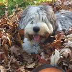 Bertha Steiner - @berthasteiner - Instagram