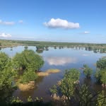 Bertha Steinman - @bertha.steinman - Instagram
