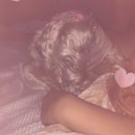 🥰🖤Miajade🖤🥰 - @bertha.stewart.986 - Instagram