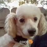 Bertha Stone - @b.stone2003 - Instagram