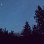 Bertha Tang - @tang_bertha - Instagram