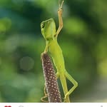 Bertha Todd - @beetoat569 - Instagram