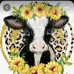 Bertha Vaca Lupián - @vacalupian - Instagram