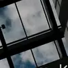 bertha Zelaya - @bertha_zelaya1 - TikTok