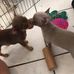 Bertie Bowles - Facebook