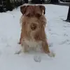 bertiewobbles - @bertiewobbles - TikTok