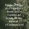 Berti Diaz - @berti.diaz8 - TikTok