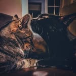 Bertie and Jones - @bertie_and_jones - Instagram