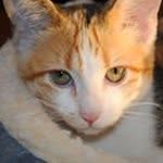 Bertie Jones - @bertie.jones.319 - Instagram