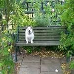Bertie Jones - @sharon.jones2000 - Instagram