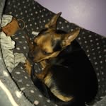 bertie jones - @bertiesbestadventures - Instagram