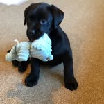 Bertie Jones - @b.e.r.t.i.e_j - Instagram