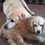 Bertie Lloyd - @bertielloyd10 - Instagram