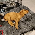 @bertielloydcocker - Instagram