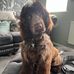 Bertie Moat - Facebook