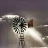 Bertie Muller - @bertie.muller - TikTok