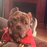 Liberty(Libby) - @nelson_libertie - Instagram