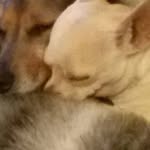 Bertie Norris - @bertienorris - Instagram